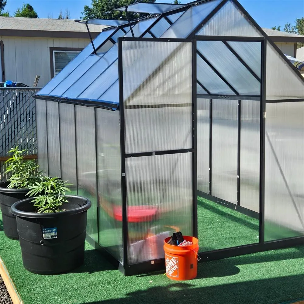 Black frame glass greenhouse